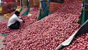 Onion price hike: Centre expands Rs 35/kg sale to 19 cities amid supply concerns
