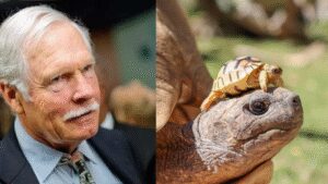 CNN founder Ted Turner’s New Mexico ranch helped save North America’s rarest large tortoise, growing its population from 30 to about 800 | World News