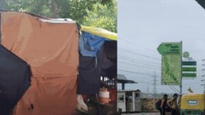 The annual Delhi Yamuna flood threat- why September matters? | India News