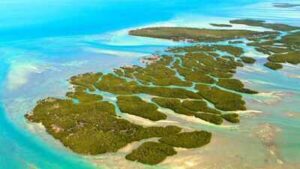 In 1956, a doctor bought a 7.9-acre Florida Keys island from the US at auction with residential zoning; 70 years later, his heirs won a decades-long fight over their right to build