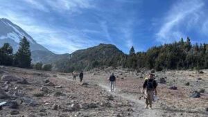 3 California hikers trusted AI to plan Mount Shasta climb; 8-hour trek became a 16-hour ordeal that left them injured, stranded overnight and ultimately rescued | World News