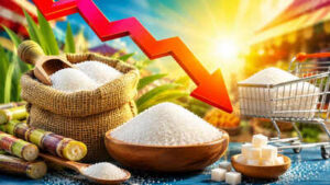 Impact Of Sugar Prices On Consumers: Cheeni Kum? Imported sugar is yet to land, so why is it getting cheaper
