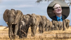 In 2013, Microsoft co-founder Paul Allen put $7 million into counting Africa’s elephants; the two-year survey found just 352,271 across 18 countries and exposed a devastating decline | World News
