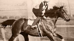 In the 1940s, Seabiscuit retired to a California ranch; decades later its redwoods, oak woodlands and wetlands became a conservation priority﻿ | World News