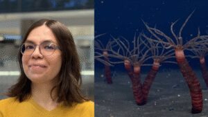 Meet Greta Ramirez-Guerrero: The Canadian PhD student who helped reveal a 450-million-year-old jellyfish relative hiding in Quebec rocks | World News