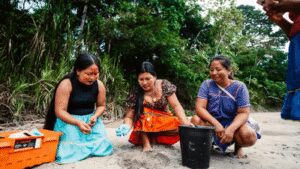Meet the ‘Turtle Women’ of Amazon: 7 Indigenous women are bringing vulnerable river turtles back from the brink after releasing 208 baby turtles into the wild |