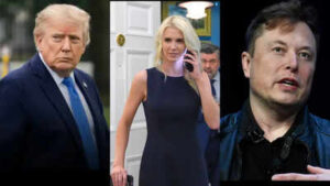 Natalie Harp came in, gave Trump a printout of Elon Musk’s post: Ted Cruz reveals how Trump vs Musk unfolded in front of his eyes, like a ‘hand grenade was thrown in the middle of everything’
