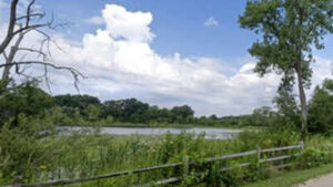 A five-year Illinois project will restore 421 acres of wetlands, prairie and woodland while helping hold stormwater, part of an $11 million effort along 67 miles of river