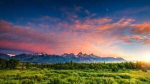 Scientists reconstructed a Wyoming forest from 56-million-year-old fossil leaves; it lost about 60% of its canopy during ancient warming and took more than 100,000 years to recover